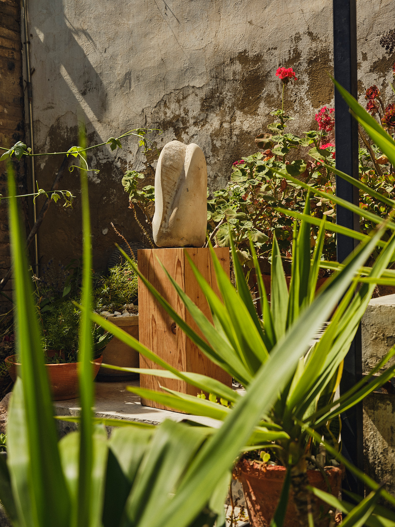 30-SUSANA-BOTANA-STUDIO-VISIT-WEB
